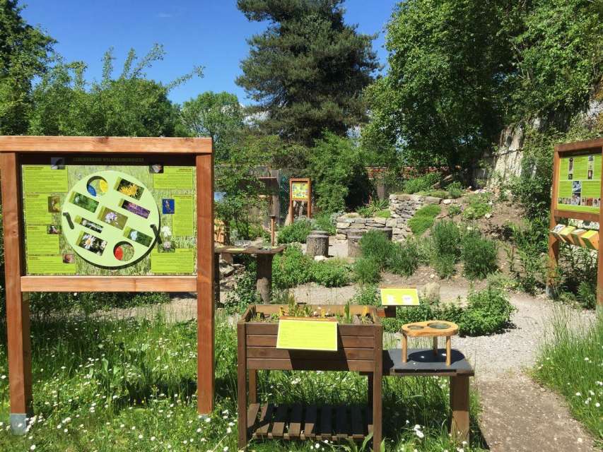 Eine Wildstation erleben