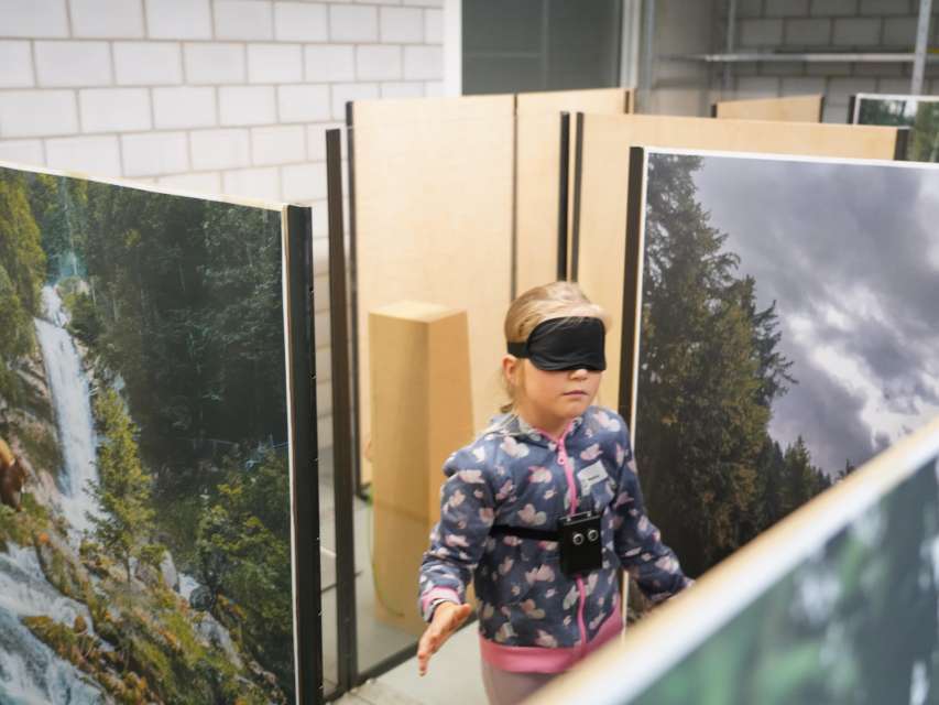 Wie die Fledermaus Bäume hört